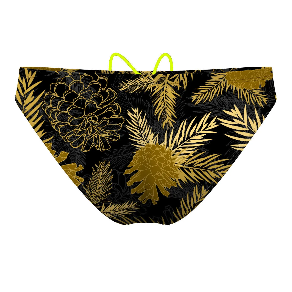 Aspen Waterpolo Brief Swimwear