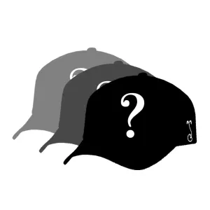 Dad Hat Grab Bag x3